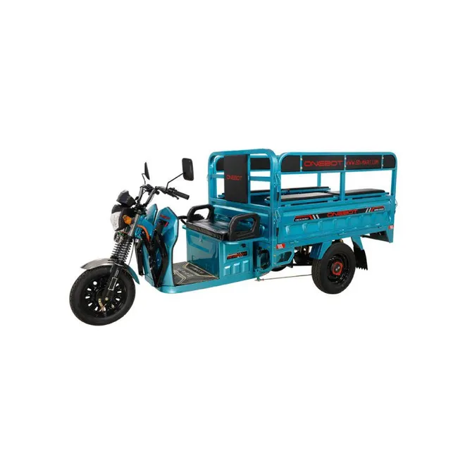 Triciclo Eléctrico de Carga T300