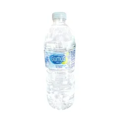 Agua natural (12 x 500 ml) Gumus